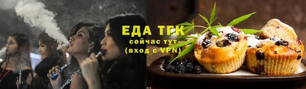 гидра Корсаков