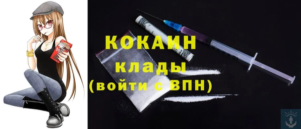гидра Корсаков