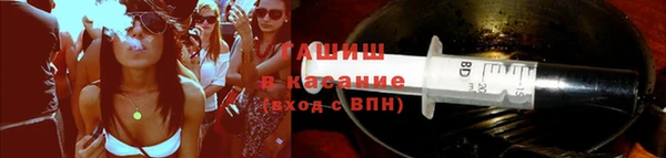 гидра Корсаков