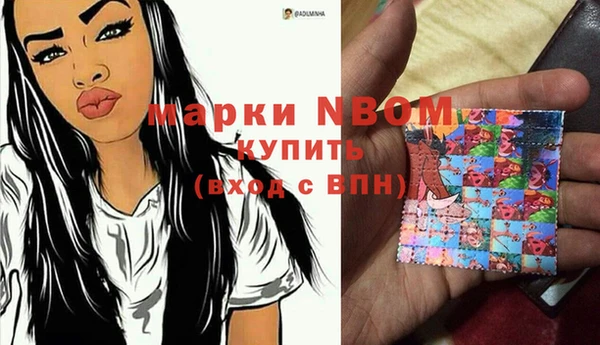 гидра Корсаков