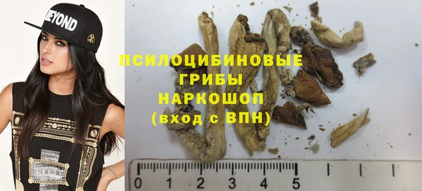 гидра Корсаков