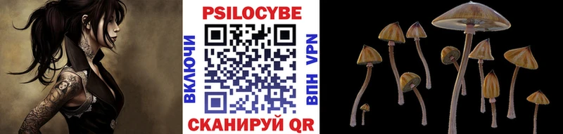 Купить где  Богучар  Псилоцибиновые грибы ЛСД 